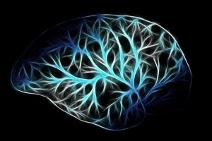 Meddig születnek új idegsejtjeink?